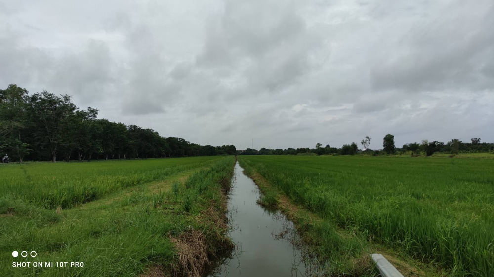 ขายที่ดินปทุมธานี รังสิต ธรรมศาสตร์ : 🎀ที่ดินคลองสิบ หนองเสือ ปทุมธานี เนื้อที่ 59 ไร่ ผังสีชมพู ทำเลทอง อยู่ติดหลัง ที่ว่าการ อ.หนองเสือ , สภ.หนองเสือ🎀