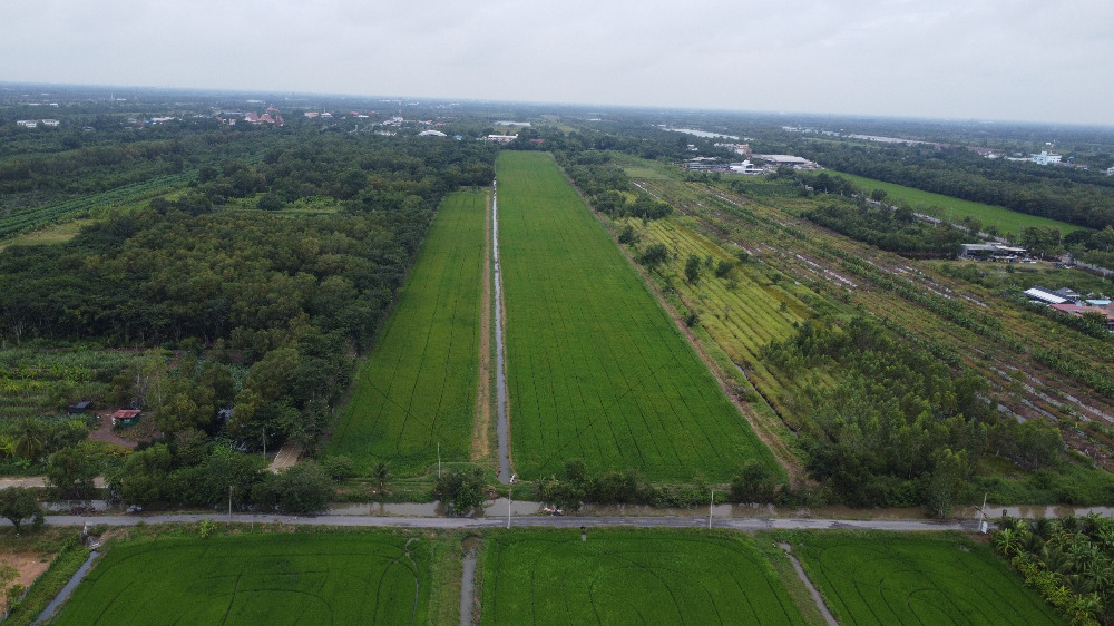 ขายที่ดินปทุมธานี รังสิต ธรรมศาสตร์ : 🎀ที่ดินคลองสิบ หนองเสือ ปทุมธานี เนื้อที่ 59 ไร่ ผังสีชมพู ทำเลทอง อยู่ติดหลัง ที่ว่าการ อ.หนองเสือ , สภ.หนองเสือ🎀