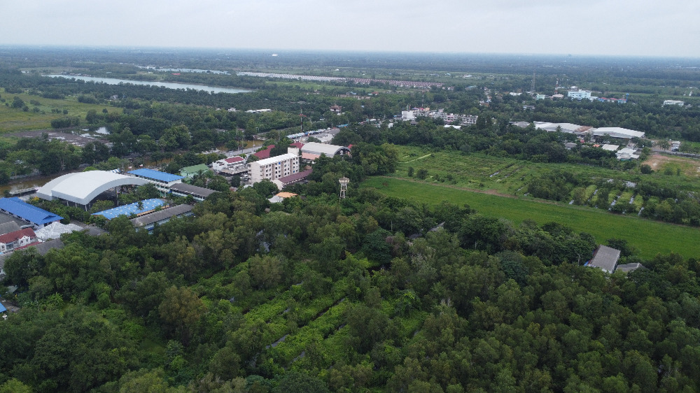 ขายที่ดินปทุมธานี รังสิต ธรรมศาสตร์ : 🎀ที่ดินคลองสิบ หนองเสือ ปทุมธานี เนื้อที่ 59 ไร่ ผังสีชมพู ทำเลทอง อยู่ติดหลัง ที่ว่าการ อ.หนองเสือ , สภ.หนองเสือ🎀