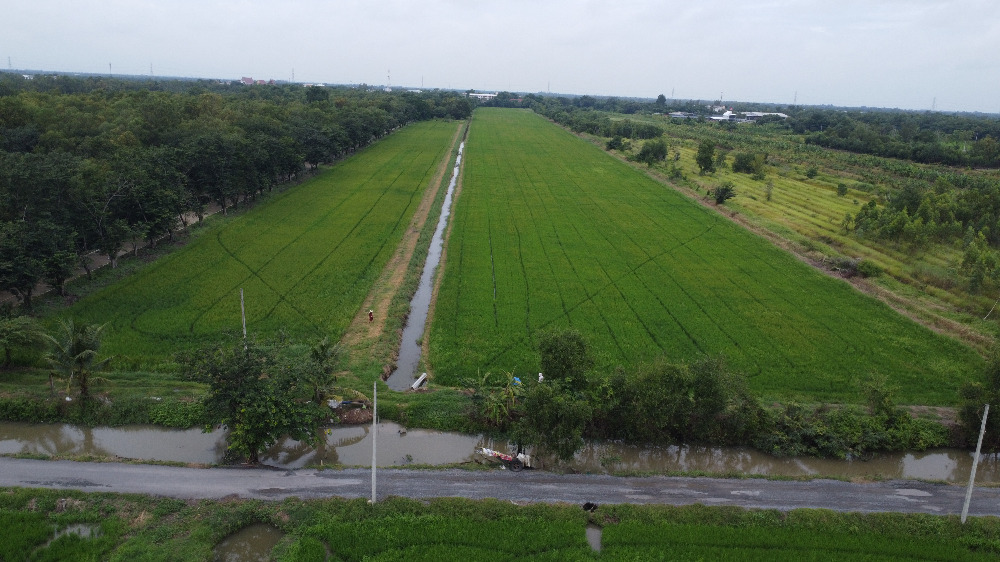 ขายที่ดินปทุมธานี รังสิต ธรรมศาสตร์ : 🎀ที่ดินคลองสิบ หนองเสือ ปทุมธานี เนื้อที่ 59 ไร่ ผังสีชมพู ทำเลทอง อยู่ติดหลัง ที่ว่าการ อ.หนองเสือ , สภ.หนองเสือ🎀