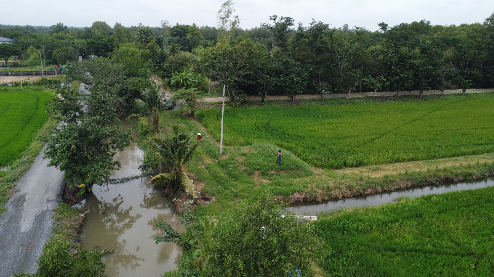 ขายที่ดินปทุมธานี รังสิต ธรรมศาสตร์ : 🎀ที่ดินคลองสิบ หนองเสือ ปทุมธานี เนื้อที่ 59 ไร่ ผังสีชมพู ทำเลทอง อยู่ติดหลัง ที่ว่าการ อ.หนองเสือ , สภ.หนองเสือ🎀