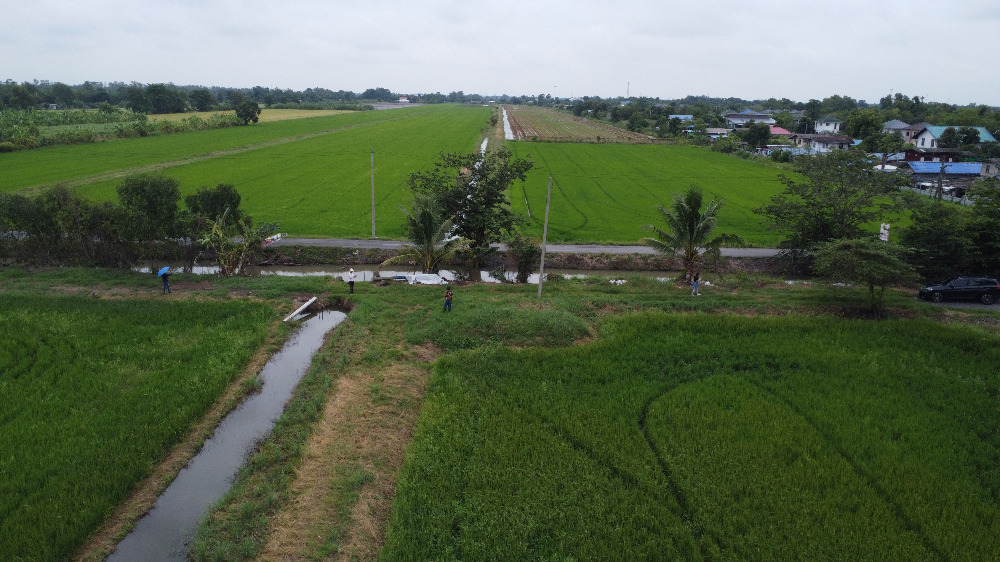 ขายที่ดินปทุมธานี รังสิต ธรรมศาสตร์ : 🎀ที่ดินคลองสิบ หนองเสือ ปทุมธานี เนื้อที่ 59 ไร่ ผังสีชมพู ทำเลทอง อยู่ติดหลัง ที่ว่าการ อ.หนองเสือ , สภ.หนองเสือ🎀