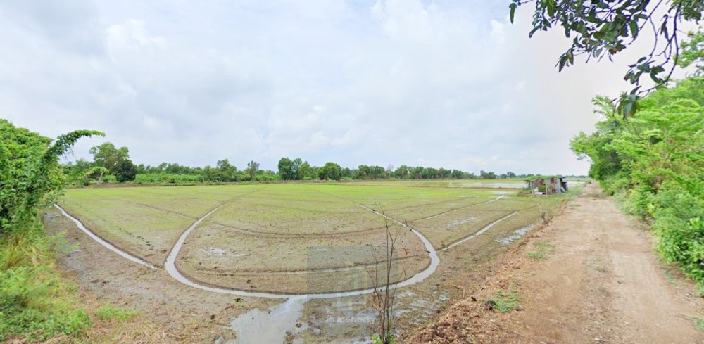 ขายที่ดินปทุมธานี รังสิต ธรรมศาสตร์ : ขาย ที่ดิน 778 ไร่ หนองเสือ คลอง 12 ปทุมธานี ติดถนนเลียบคลอง 12 เข้าจาก รังสิต-นครนายก เพียง 4 กม.
