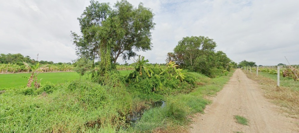 ขายที่ดินปทุมธานี รังสิต ธรรมศาสตร์ : ขาย ที่ดิน 778 ไร่ หนองเสือ คลอง 12 ปทุมธานี ติดถนนเลียบคลอง 12 เข้าจาก รังสิต-นครนายก เพียง 4 กม.