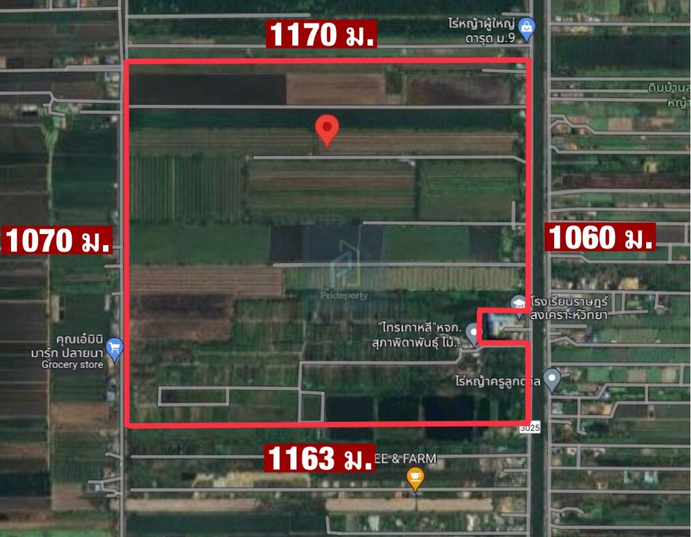 ขายที่ดินปทุมธานี รังสิต ธรรมศาสตร์ : ขาย ที่ดิน 778 ไร่ หนองเสือ คลอง 12 ปทุมธานี ติดถนนเลียบคลอง 12 เข้าจาก รังสิต-นครนายก เพียง 4 กม.
