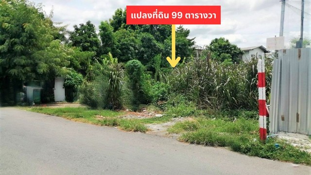 For SaleLandVipawadee, Don Mueang, Lak Si : Land for sale, 99 sq m., next to a public road, concrete, entering Soi Wat Weluwanaram 9, just 100 meters, is a very prosperous community, water, electricity ready, near the 7-Eleven market, along the Red Line, Don Mueang, Bangkok.