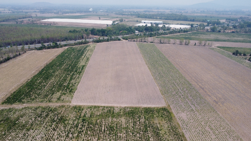 ขายที่ดินอุตรดิตถ์ : 🎏ที่ดินอุตรดิตถ์ 27-1-9 ไร่ ทำเลดี ติดทางหลวง หมายเลข 11 (กม. ที่ 307) เส้นอุตรดิตถ์-พิษณุโลก🎏