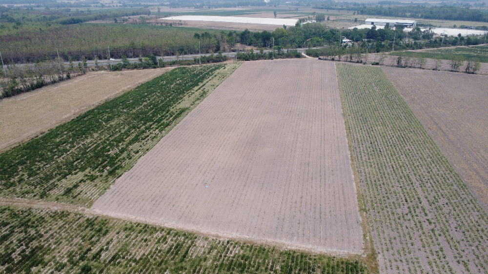 ขายที่ดินอุตรดิตถ์ : 🎏ที่ดินอุตรดิตถ์ 27-1-9 ไร่ ทำเลดี ติดทางหลวง หมายเลข 11 (กม. ที่ 307) เส้นอุตรดิตถ์-พิษณุโลก🎏