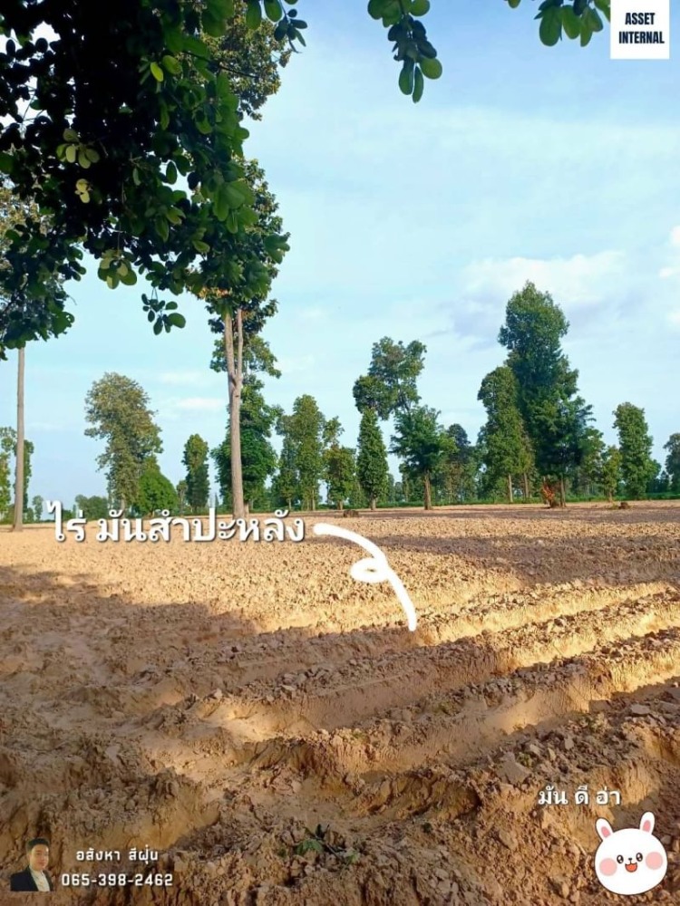 ขายที่ดินขอนแก่น : ขาย ที่ดิน 21 ไร่ 1 งาน 40 ตารางวา ถนน 2301 ตำบล คึมชาด อำเภอ หนองสองห้อง จังหวัด ขอนแก่น พร้อมไร่ปลูกมันสำปะหลัง