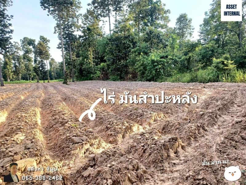 ขายที่ดินขอนแก่น : ขาย ที่ดิน 21 ไร่ 1 งาน 40 ตารางวา ถนน 2301 ตำบล คึมชาด อำเภอ หนองสองห้อง จังหวัด ขอนแก่น พร้อมไร่ปลูกมันสำปะหลัง