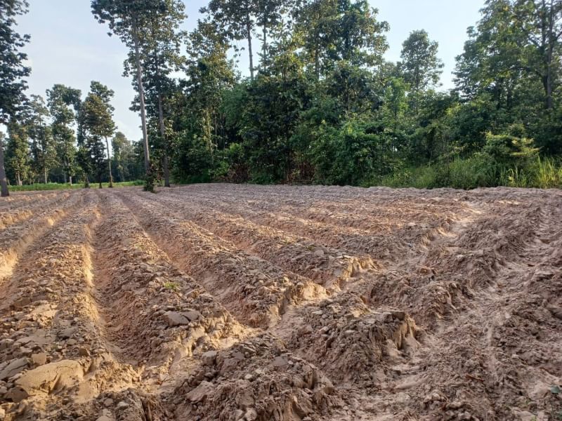 ขายที่ดินขอนแก่น : ขาย ที่ดิน 21 ไร่ 1 งาน 40 ตารางวา ถนน 2301 ตำบล คึมชาด อำเภอ หนองสองห้อง จังหวัด ขอนแก่น พร้อมไร่ปลูกมันสำปะหลัง