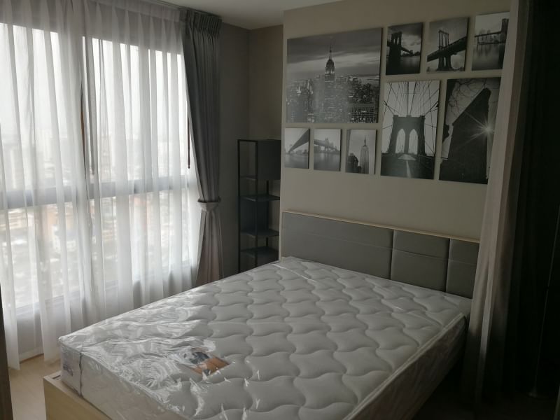 For RentCondoBangna, Bearing, Lasalle : For rent at Ideo O2 Negotiable at @condobkk (with @ too)