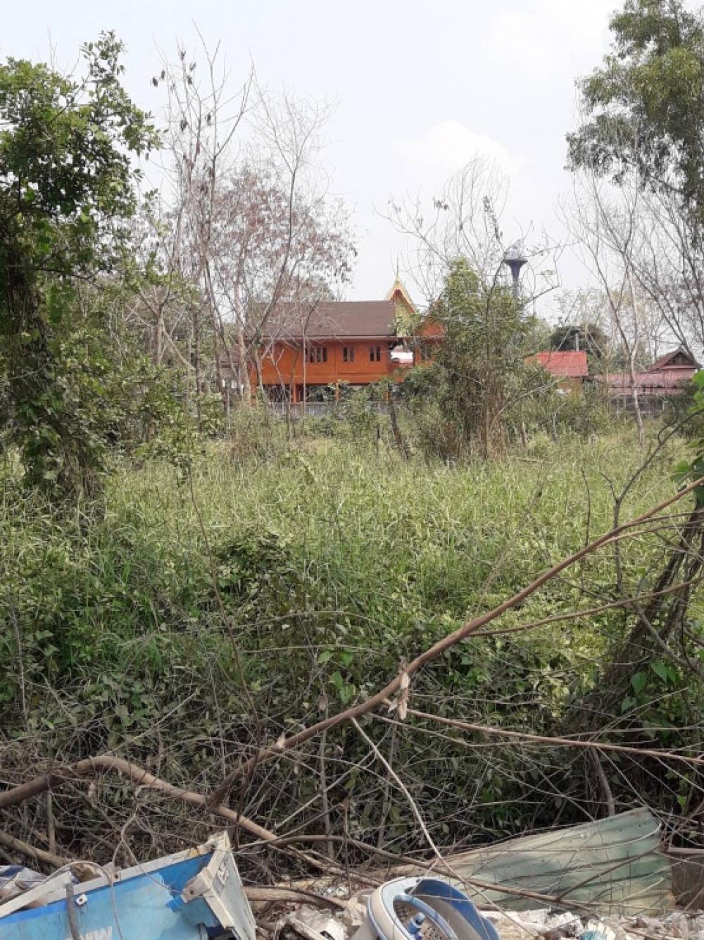 For SaleLandPathum Thani,Rangsit, Thammasat : ❤️❤️❤️Land for sale, Khlong 4, Khlong Luang District, Pathum Thani Province, size 200 sq m, reduced from 1.35 million, price only Only 1.2 million. Interested line/tel 0859114585 ❤️❤️ Land opposite the temple.