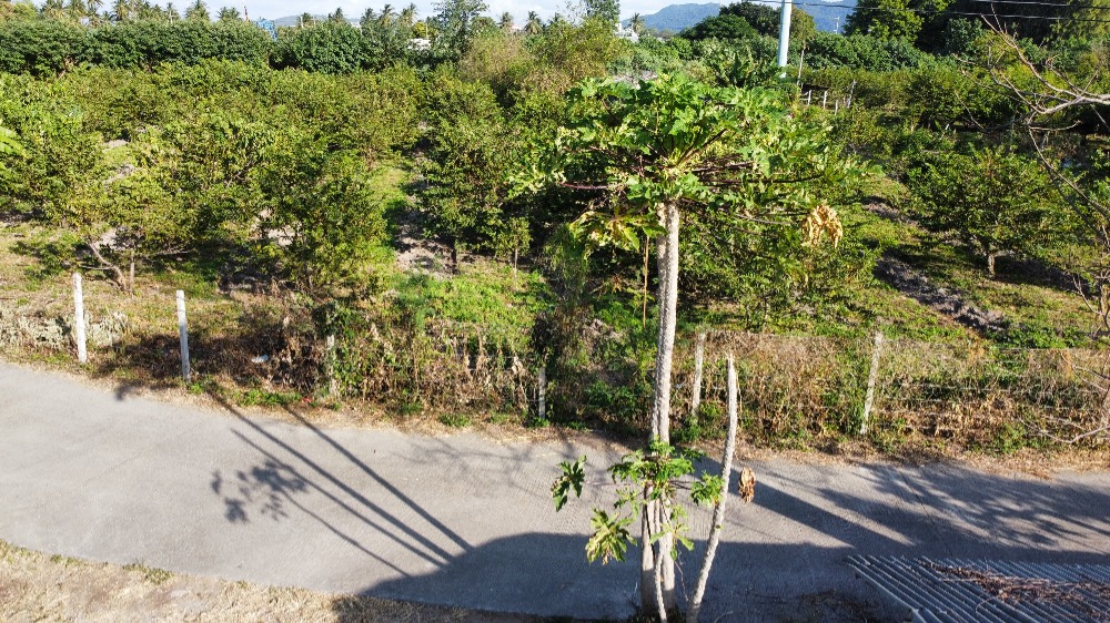 For SaleLandPak Chong KhaoYai : Land for sale in Pak Chong, Phaya Yen, next to Thetsaban Road, 26-3-45 rai, already filled.