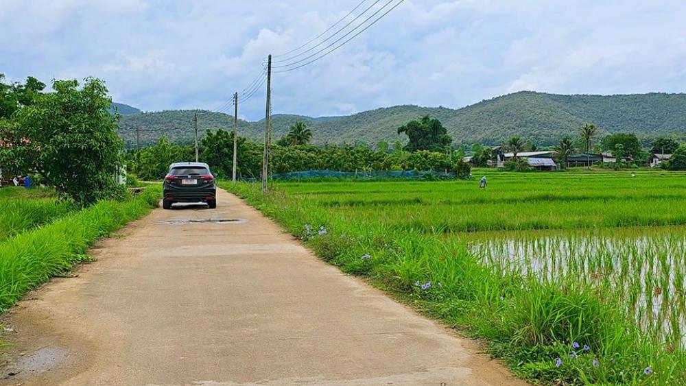 For SaleLandChiang Mai : Rice field with beautiful view, 5-3-41 rai, for sale cheap, 400,000 per rai, near Siri Muang Pao shop. Near Wat Pa Achan Man Phurithatto, Phrao District, there is water and electricity in the community.