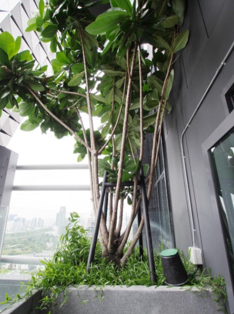 For RentCondoRatchathewi,Phayathai : Q Chidlom 73 sq.m. Sell & Rent Eng 中 日 Please add LINE ID @806qphgn o8415o5483