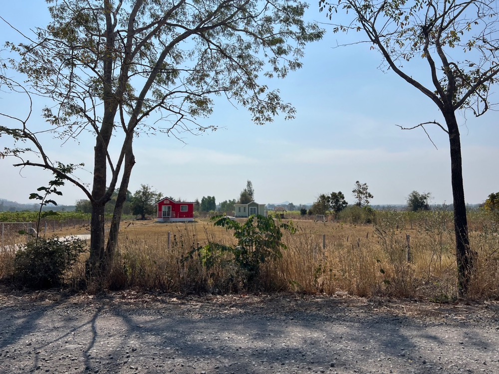 For SaleLandPhetchabun : Land for sale, Chon Daen, Phetchabun, installments 4900 baht per rai.