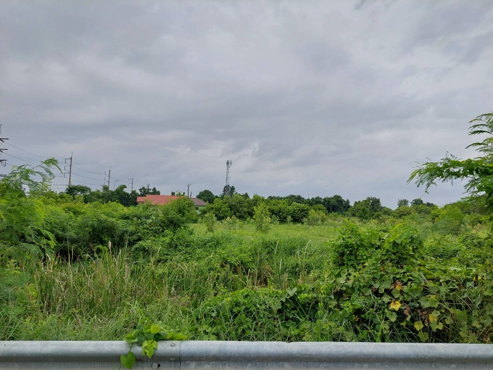 ขายที่ดินสระบุรี : ขายที่ดินใกล้บายพาส ขนาด 2 ไร่ครึ่ง อำเภอเมืองสระบุรี เลียบคลองชลประทาน