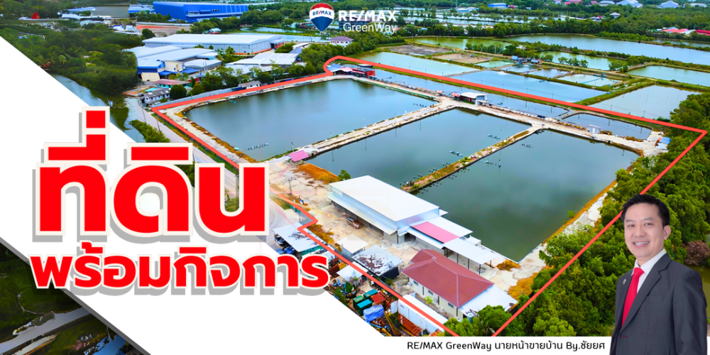 For SaleLandRathburana, Suksawat : Land for sale, Pracha Uthit 90, Phra Samut Chedi, near Wat Khlong Suan, more than 18 rai, suitable for fishing pond business, fish farm, shrimp farm, or a cafe, resort, or restaurant.