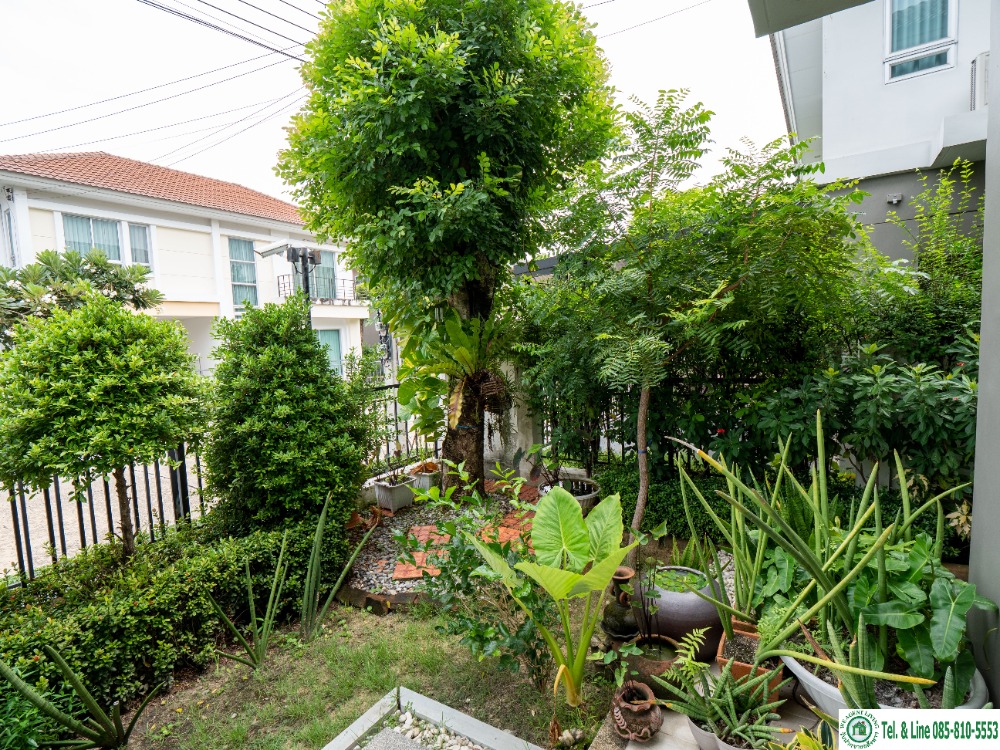 ขายบ้านนวมินทร์ รามอินทรา : ขายบ้านเดี่ยว ราคาดีที่สุดใน หมู่บ้าน ไลฟ์ บางกอกบูเลอวาด รามอินทรา 104 สภาพดีมาก ราคาดีที่สุดจริงๆครับ ขนาด 50.3 ตรว. 167 ตรม. 3 ห้องนอน 3 ห้องน้ำ 2