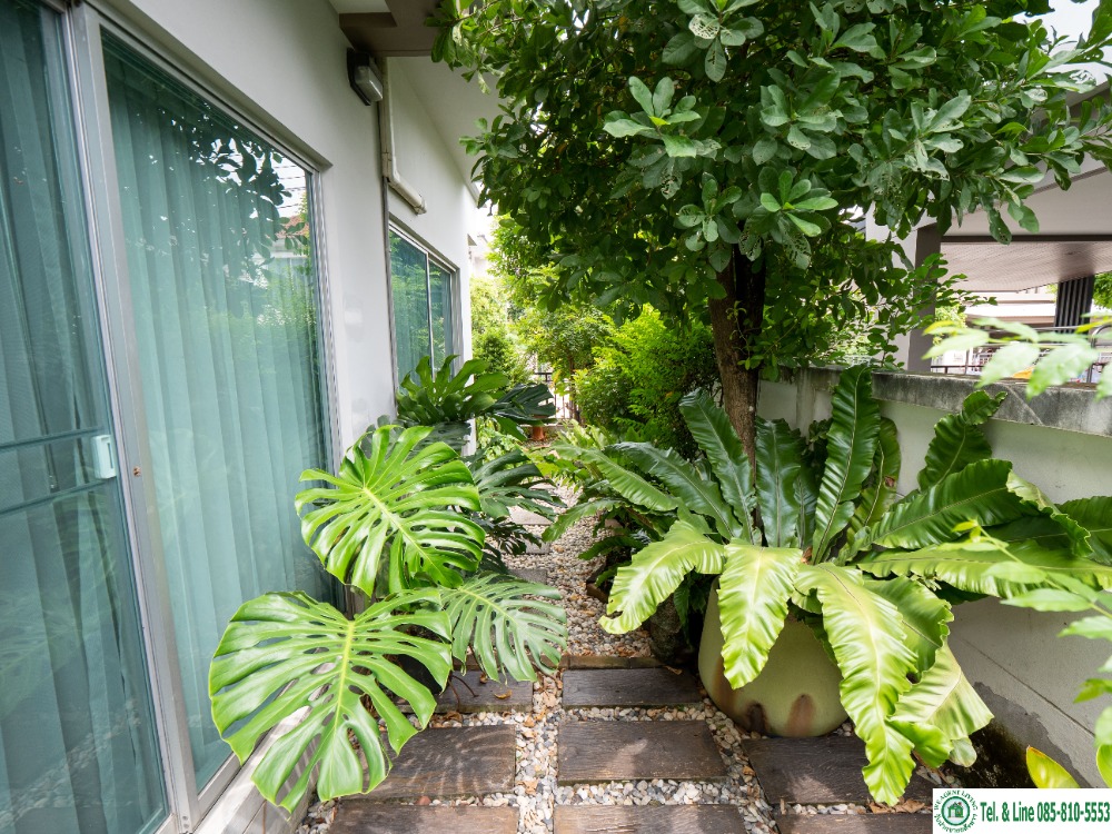 ขายบ้านนวมินทร์ รามอินทรา : ขายบ้านเดี่ยว ราคาดีที่สุดใน หมู่บ้าน ไลฟ์ บางกอกบูเลอวาด รามอินทรา 104 สภาพดีมาก ราคาดีที่สุดจริงๆครับ ขนาด 50.3 ตรว. 167 ตรม. 3 ห้องนอน 3 ห้องน้ำ 2