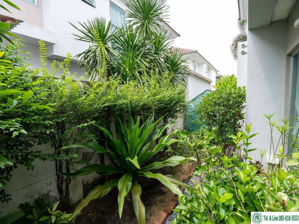 ขายบ้านนวมินทร์ รามอินทรา : ขายบ้านเดี่ยว ราคาดีที่สุดใน หมู่บ้าน ไลฟ์ บางกอกบูเลอวาด รามอินทรา 104 สภาพดีมาก ราคาดีที่สุดจริงๆครับ ขนาด 50.3 ตรว. 167 ตรม. 3 ห้องนอน 3 ห้องน้ำ 2