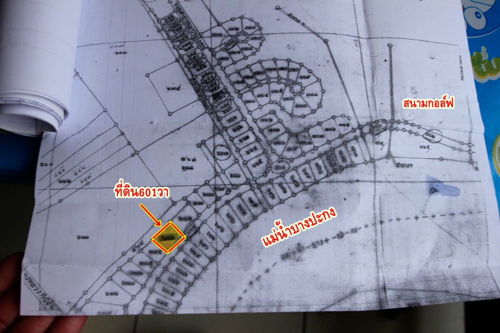 ขายที่ดินฉะเชิงเทรา : ที่ดินสนามกอล์ฟบางปะกงริเวอร์ไซด์ 1-2-01 ไร่ หันหน้าออกแม่น้ำบางปะกง ใกล้กรุงเทพ มอเตอร์เวย์ กรุงเทพ ชลบุรี สายใหม่ 8,800บาท/วา