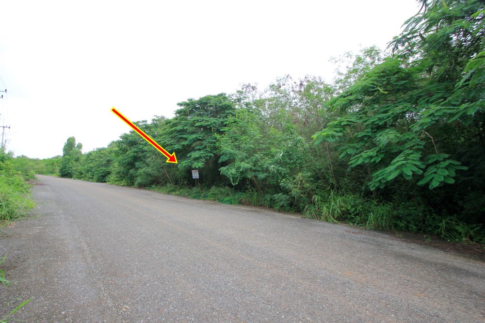 ขายที่ดินฉะเชิงเทรา : ที่ดินสนามกอล์ฟบางปะกงริเวอร์ไซด์ 1-2-01 ไร่ หันหน้าออกแม่น้ำบางปะกง ใกล้กรุงเทพ มอเตอร์เวย์ กรุงเทพ ชลบุรี สายใหม่ 8,800บาท/วา