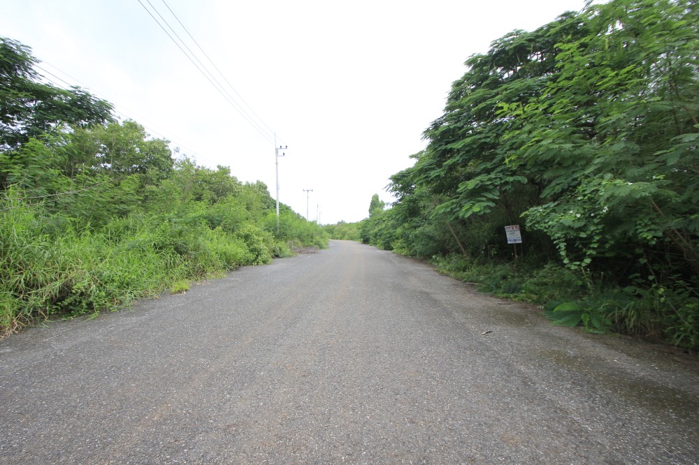 ขายที่ดินฉะเชิงเทรา : ที่ดินสนามกอล์ฟบางปะกงริเวอร์ไซด์ 1-2-01 ไร่ หันหน้าออกแม่น้ำบางปะกง ใกล้กรุงเทพ มอเตอร์เวย์ กรุงเทพ ชลบุรี สายใหม่ 8,800บาท/วา