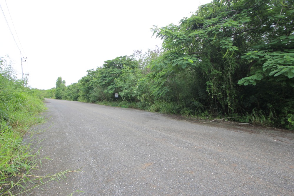 ขายที่ดินฉะเชิงเทรา : ที่ดินสนามกอล์ฟบางปะกงริเวอร์ไซด์ 1-2-01 ไร่ หันหน้าออกแม่น้ำบางปะกง ใกล้กรุงเทพ มอเตอร์เวย์ กรุงเทพ ชลบุรี สายใหม่ 8,800บาท/วา