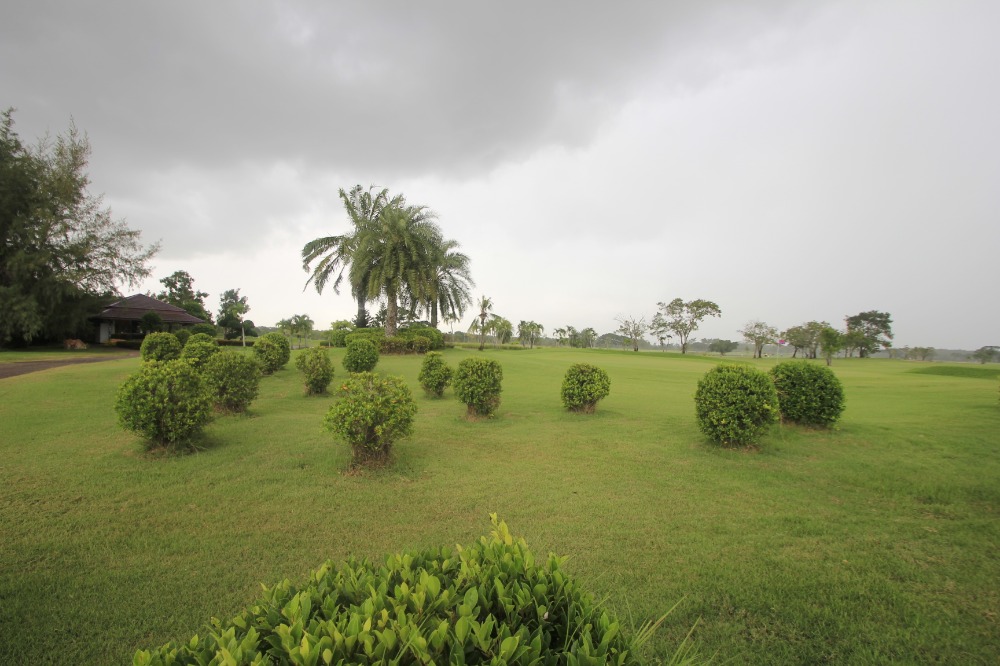 ขายที่ดินฉะเชิงเทรา : ที่ดินสนามกอล์ฟบางปะกงริเวอร์ไซด์ 1-2-01 ไร่ หันหน้าออกแม่น้ำบางปะกง ใกล้กรุงเทพ มอเตอร์เวย์ กรุงเทพ ชลบุรี สายใหม่ 8,800บาท/วา