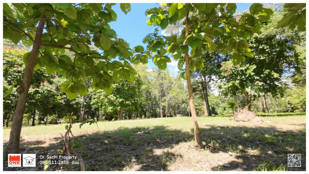 For SaleLandLamphun : Land for sale near Lamphun Government Center (new location) 1-2-82.8 rai, good atmosphere, vacation home style