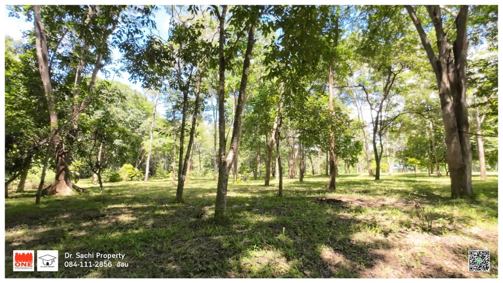 For SaleLandLamphun : Land for sale near Lamphun Government Center (new location) 1-2-82.8 rai, good atmosphere, vacation home style