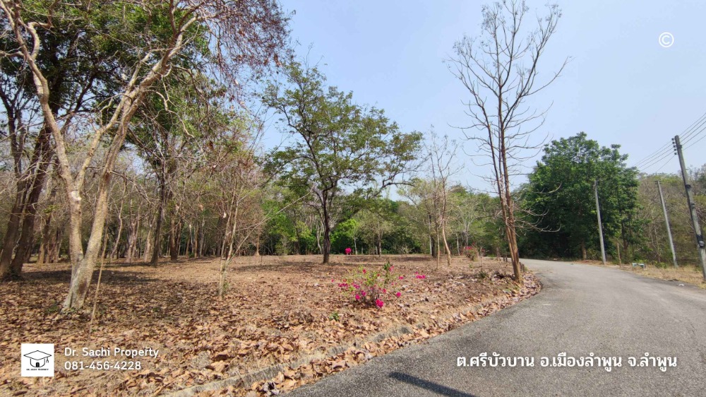 For SaleLandLamphun : Land for sale near Lamphun Government Center (new location) 1-2-82.8 rai, good atmosphere, vacation home style