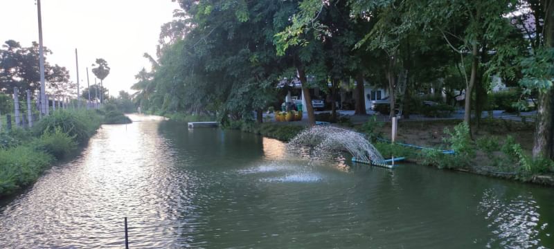 ขายที่ดินสุพรรณบุรี : ขาย บ้านพร้อมที่ดิน 5 ไร่ 35 ตารางวา ตำบล ย่านยาว อำเภอ สามชุก จังหวัด สุพรรณบุรี ติดถนน 3057  ติดแม่น้ำท่าจีน  ถมแล้ว พร้อมบ้านชั้นเดียว 3 ห้องนอน 3 ห้องน้ำ เฟอร์นิเจอร์บิ้วอิน พร้อมเครื่องใช้ไฟฟ้า ล้อมรั้วเรียบร้อย