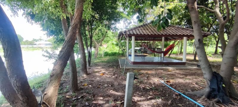 ขายที่ดินสุพรรณบุรี : ขาย บ้านพร้อมที่ดิน 5 ไร่ 35 ตารางวา ตำบล ย่านยาว อำเภอ สามชุก จังหวัด สุพรรณบุรี ติดถนน 3057  ติดแม่น้ำท่าจีน  ถมแล้ว พร้อมบ้านชั้นเดียว 3 ห้องนอน 3 ห้องน้ำ เฟอร์นิเจอร์บิ้วอิน พร้อมเครื่องใช้ไฟฟ้า ล้อมรั้วเรียบร้อย