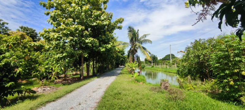 ขายที่ดินสุพรรณบุรี : ขาย บ้านพร้อมที่ดิน 5 ไร่ 35 ตารางวา ตำบล ย่านยาว อำเภอ สามชุก จังหวัด สุพรรณบุรี ติดถนน 3057  ติดแม่น้ำท่าจีน  ถมแล้ว พร้อมบ้านชั้นเดียว 3 ห้องนอน 3 ห้องน้ำ เฟอร์นิเจอร์บิ้วอิน พร้อมเครื่องใช้ไฟฟ้า ล้อมรั้วเรียบร้อย