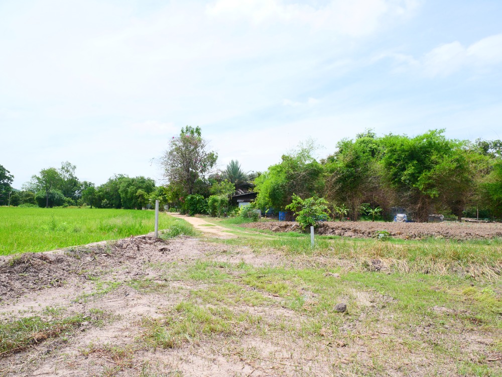 ขายที่ดินสุพรรณบุรี : ริมน้ำ เดิมบางนางบวช, สุพรรณบุรี