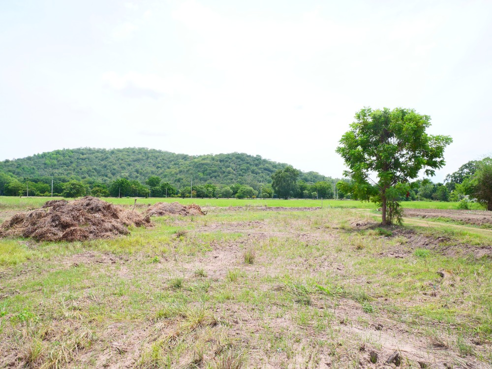 ขายที่ดินสุพรรณบุรี : ริมน้ำ เดิมบางนางบวช, สุพรรณบุรี