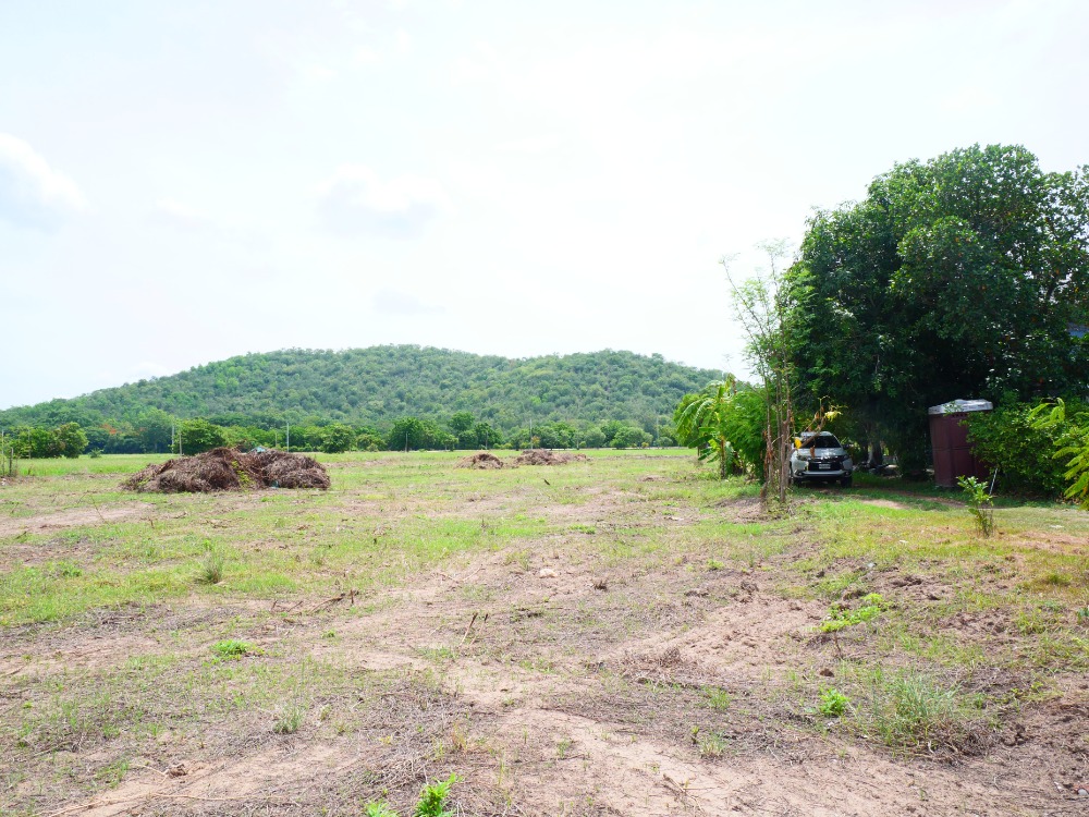 ขายที่ดินสุพรรณบุรี : ริมน้ำ เดิมบางนางบวช, สุพรรณบุรี