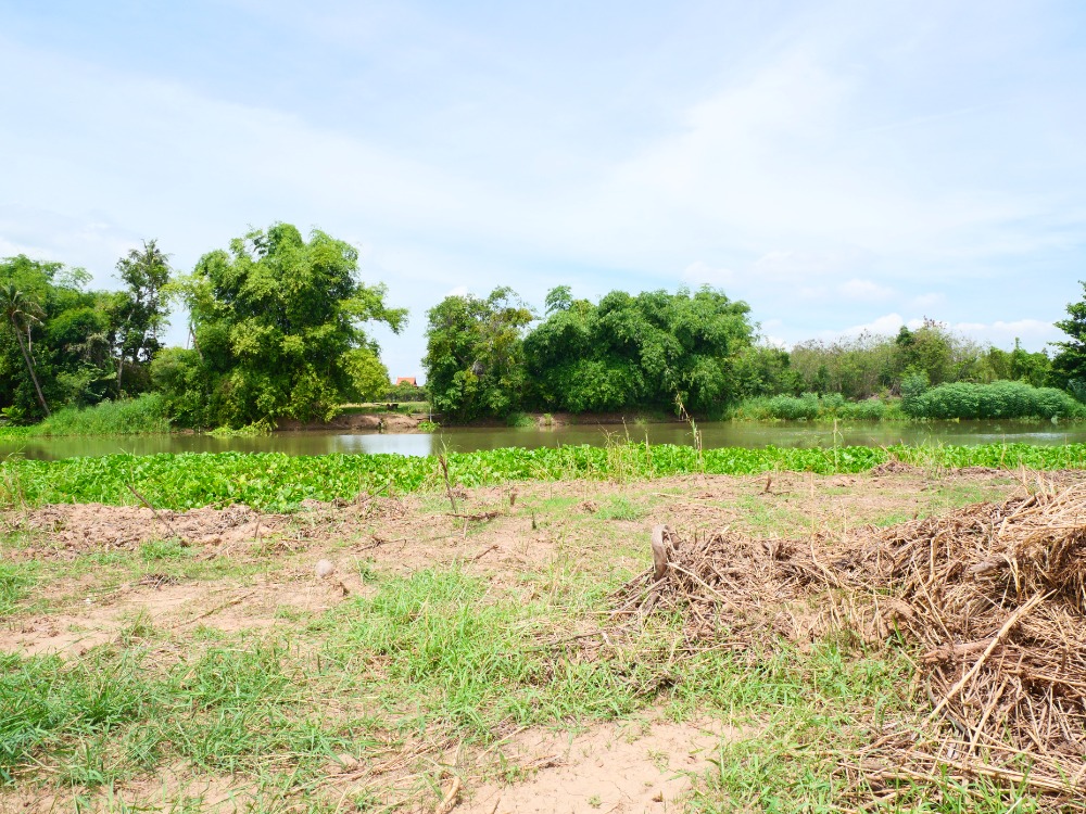 ขายที่ดินสุพรรณบุรี : ริมน้ำ เดิมบางนางบวช, สุพรรณบุรี