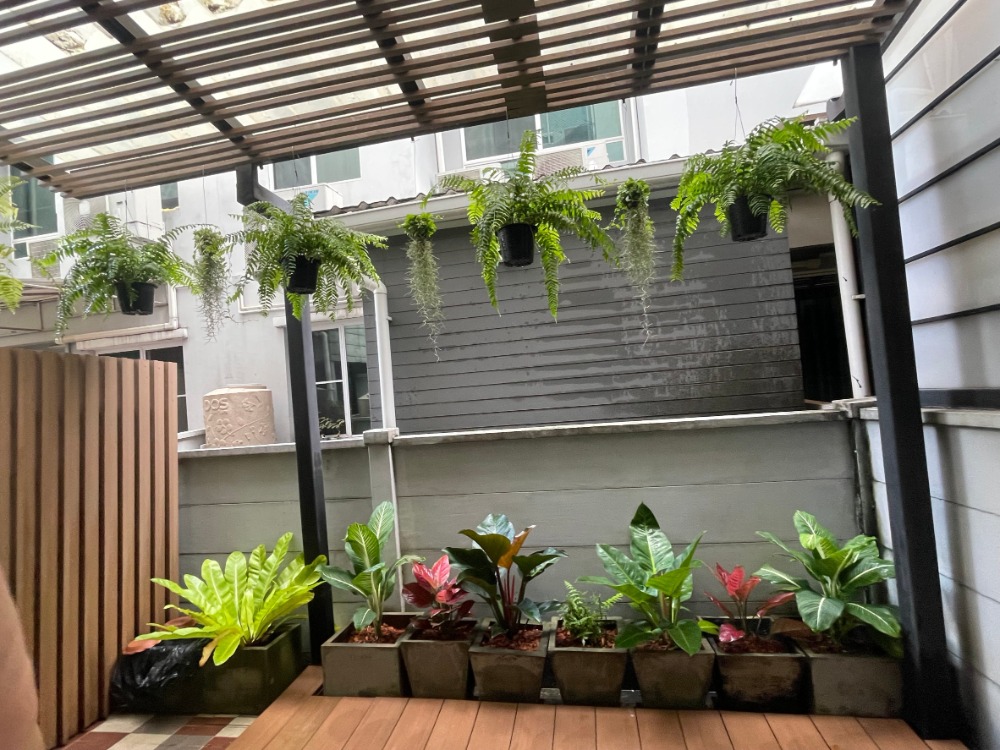 ขายทาวน์โฮมพระราม 5 ราชพฤกษ์ บางกรวย : ทาวน์เฮ้าส์ 3 ชั้น บ้านกลางเมือง ถ.พิบูลสงคราม, นนทบุรี