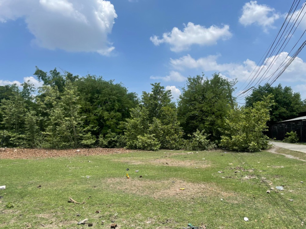 ขายที่ดินรัตนาธิเบศร์ สนามบินน้ำ พระนั่งเกล้า : ที่ดิน ติดถนนสามัคคี 34 / 8 ไร่ 76 ตารางวา (ขาย), Land Samakkhi Road 34 / 8 Rai 76 Square Wa (FOR SALE) AOM006