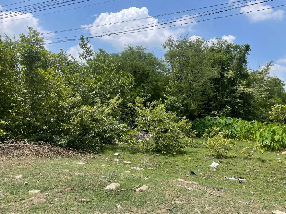 ขายที่ดินรัตนาธิเบศร์ สนามบินน้ำ พระนั่งเกล้า : ที่ดิน ติดถนนสามัคคี 34 / 8 ไร่ 76 ตารางวา (ขาย), Land Samakkhi Road 34 / 8 Rai 76 Square Wa (FOR SALE) AOM006