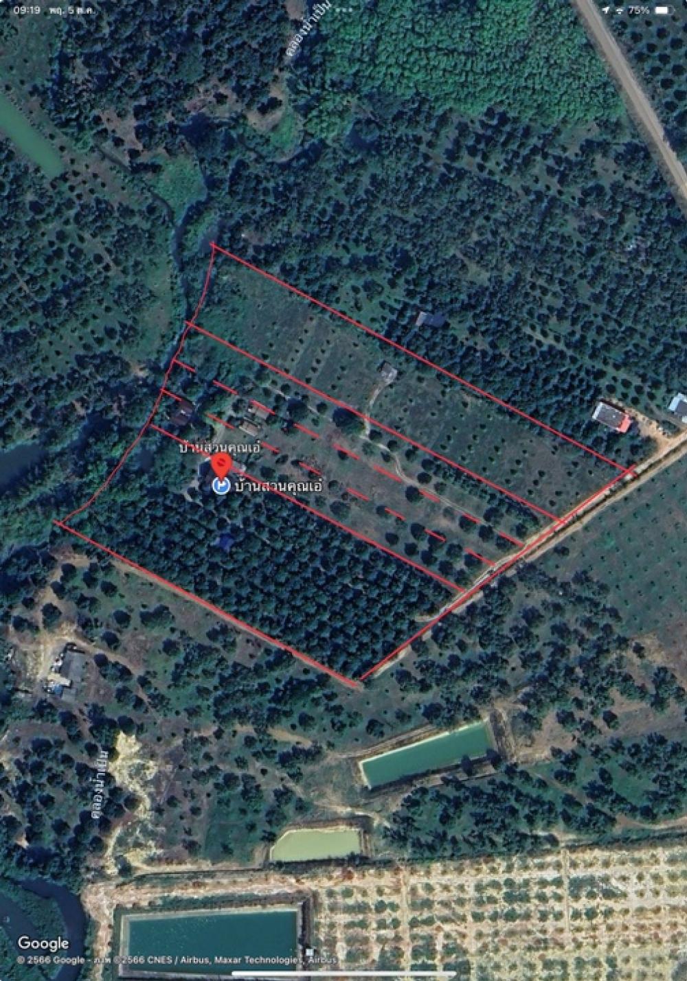 For SaleLandRayong : Fruit orchard land for sale, durian, mangosteen with 5 vacation homes, Rayong Province.