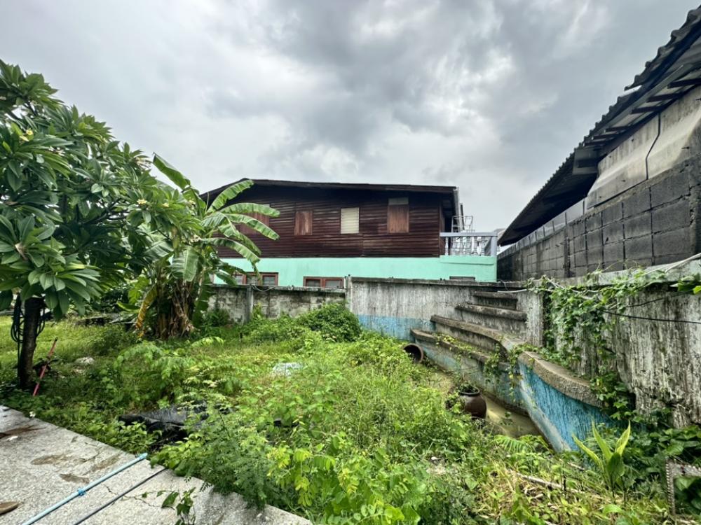 ขายบ้านอ่อนนุช อุดมสุข : ขายบ้านเก่าต้องปรับปรุงพร้อมที่ดินขนาด 97 ตรว ที่ดินเป็นสี่เหลี่ยมผืนผ้าสวย อยู่ในซอยเงียบสงบ เพื่อนบ้านดี