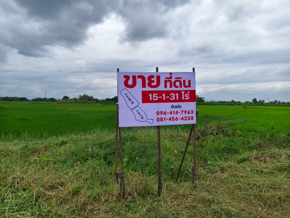 For SaleLandLamphun : Land for sale near Lamphun Hospital intersection, 15-1-31.4 rai, on main road, Highway 1136