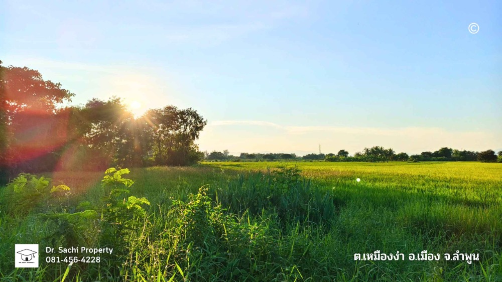 For SaleLandLamphun : Land for sale near Lamphun Hospital intersection, 15-1-31.4 rai, on main road, Highway 1136