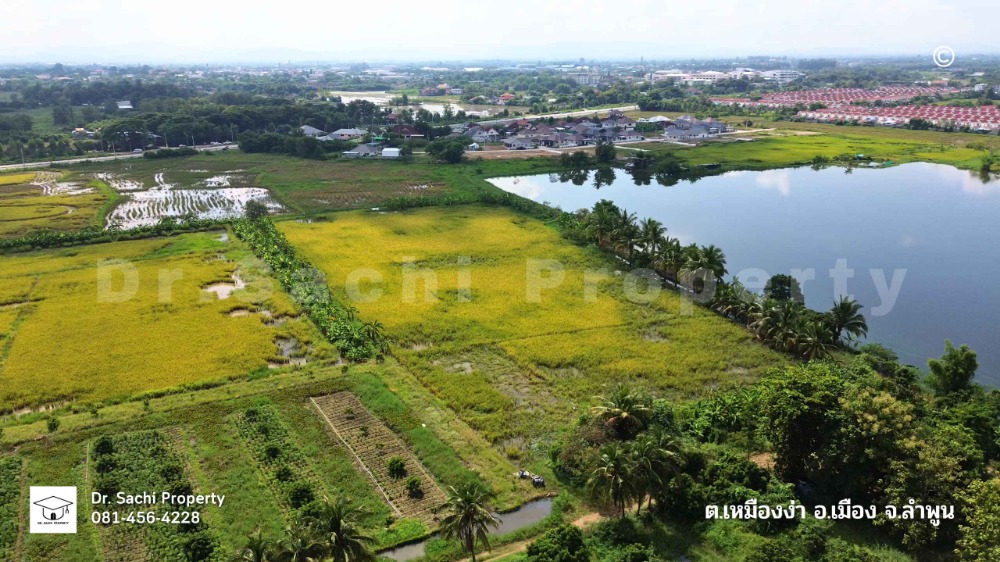 For SaleLandLamphun : Land for sale near Lamphun Hospital intersection, 15-1-31.4 rai, on main road, Highway 1136