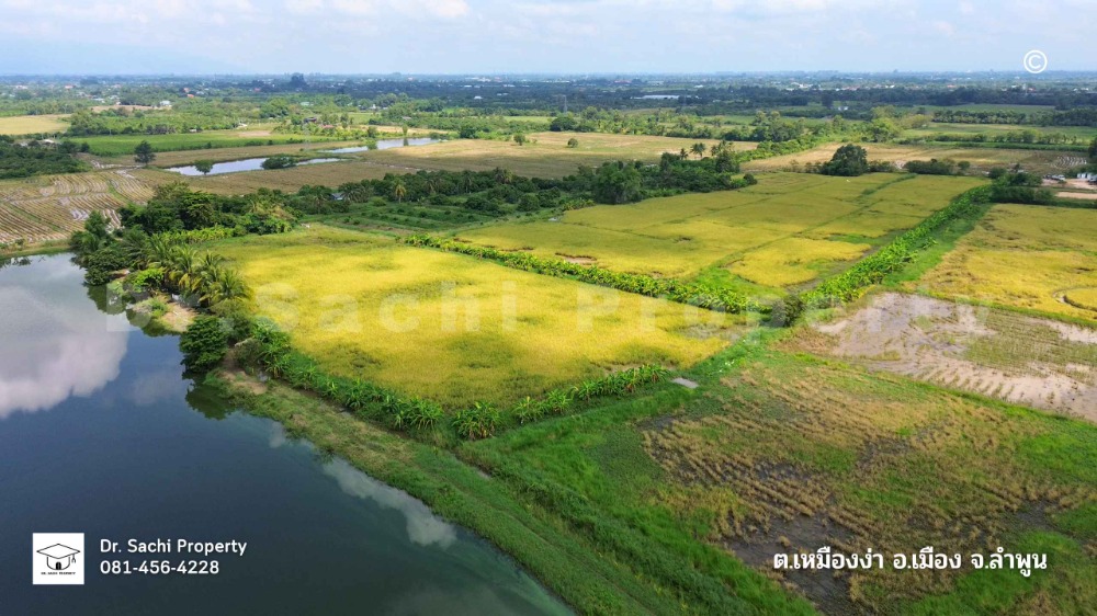 For SaleLandLamphun : Land for sale near Lamphun Hospital intersection, 15-1-31.4 rai, on main road, Highway 1136